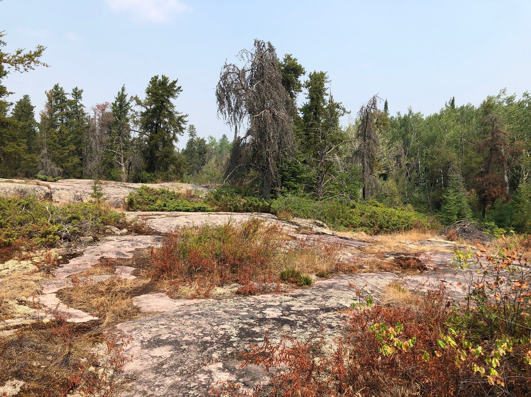 Blueberry Hill Trail景点图片