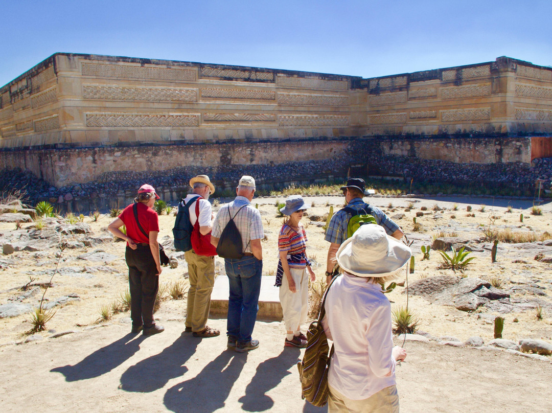 Oaxaca Experience Tours景点图片
