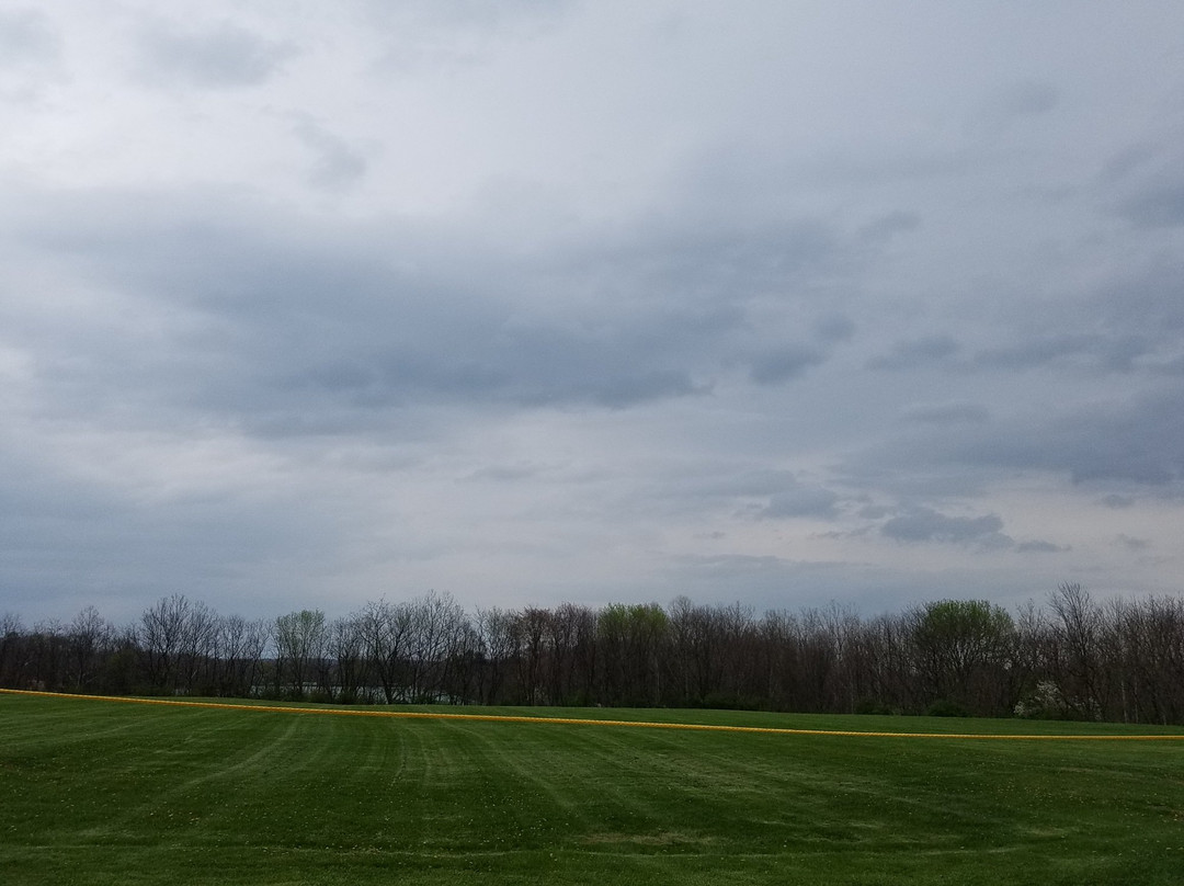 Medina旅游景点-Reagan Park