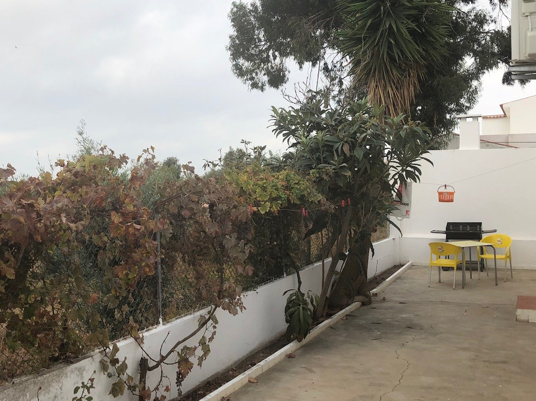 White Bride FZ主图