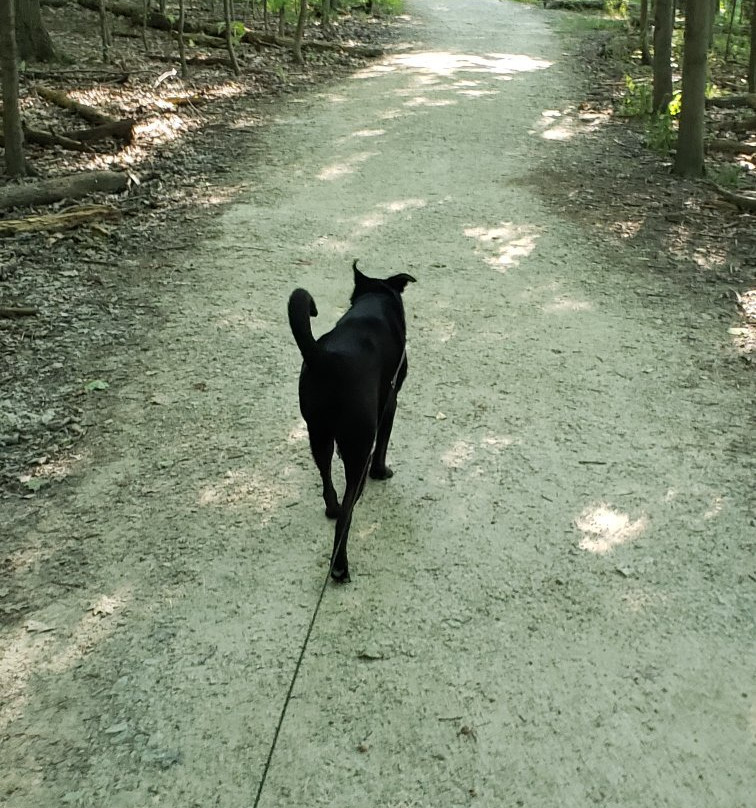 Columbia Reservation