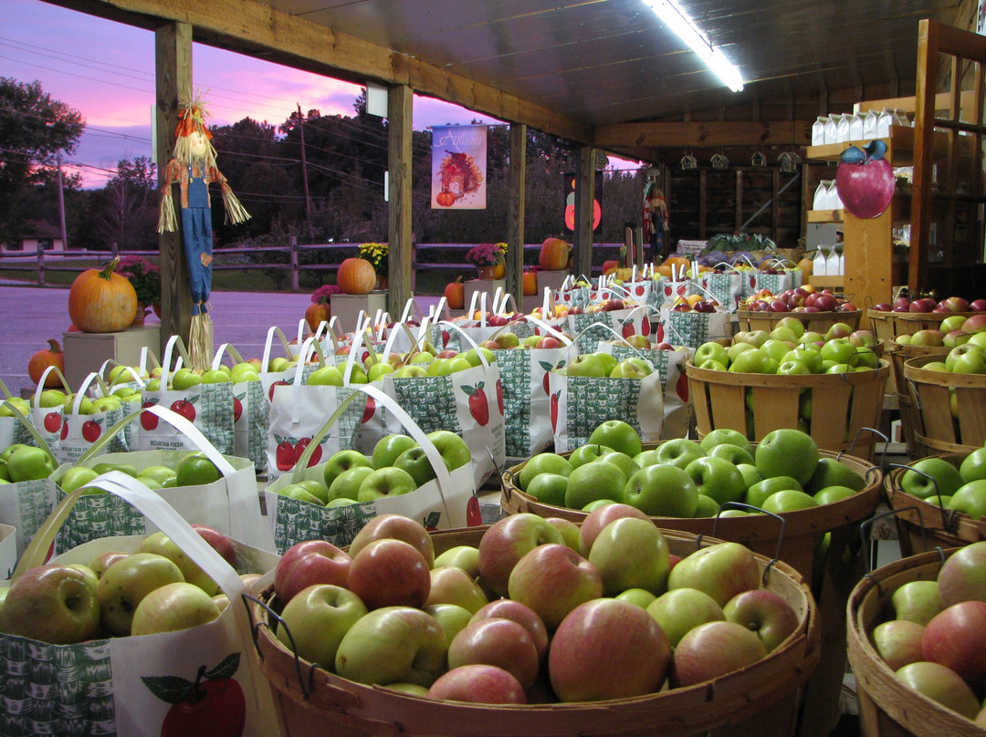 Mountain Fresh Orchards景点图片