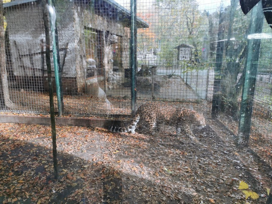Zoo Eberswalde-Eberswalde必去景点