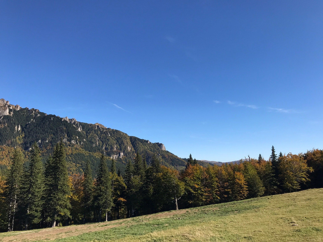 Muntele Rosu (Red Mountain)景点图片