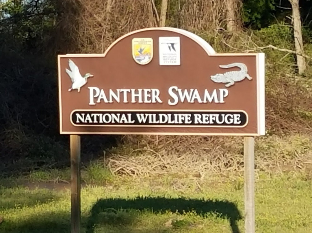 Panther Swamp National Wildlife Refuge景点图片