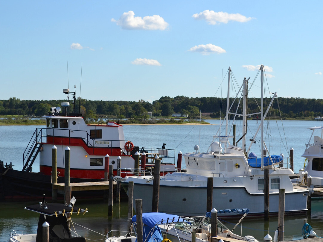 Dennis Point Marina景点图片