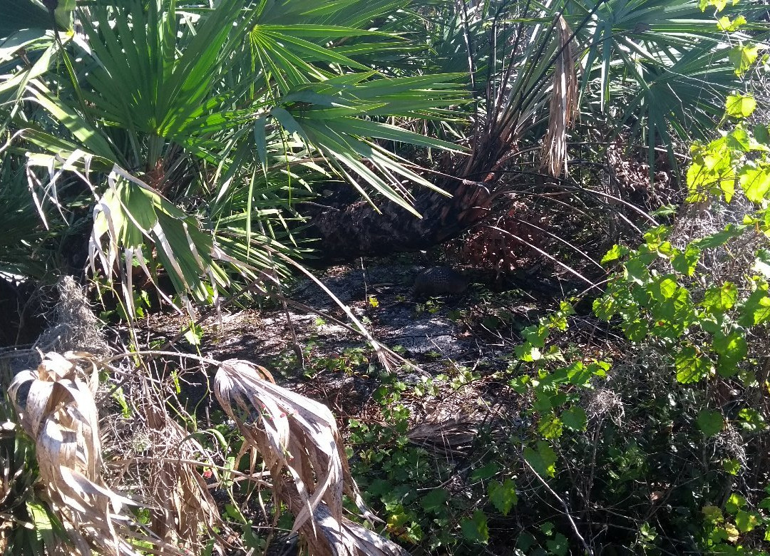 Lake Manatee State Park景点图片