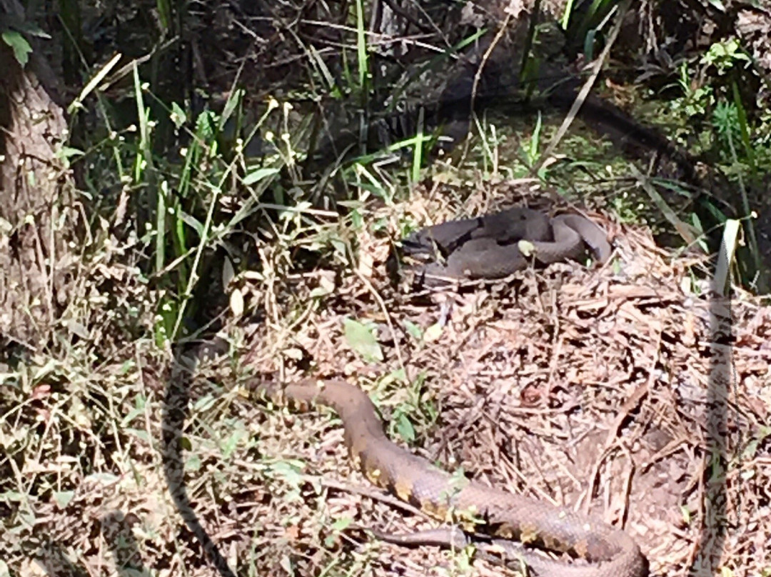 Reed Creek Nature Park