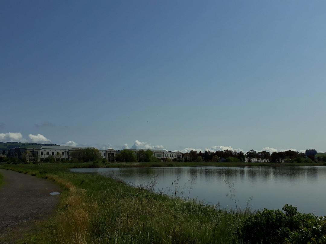 Shollenberger Park景点图片