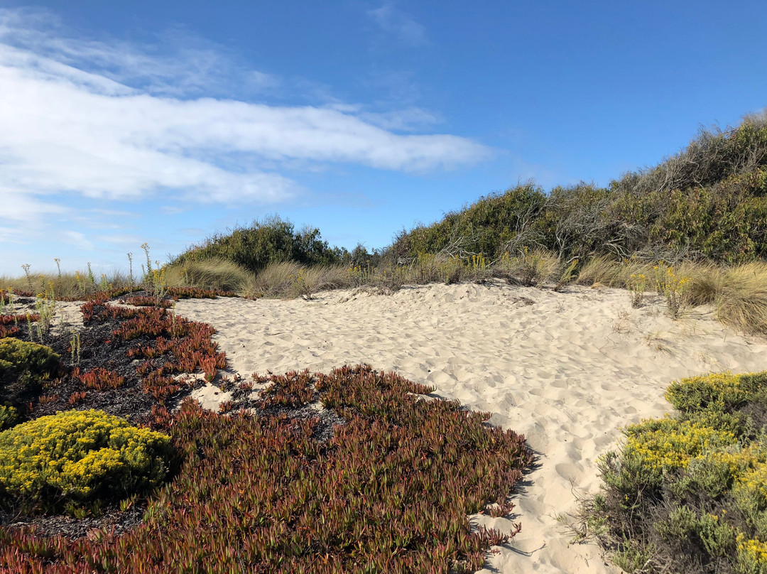 Palm Beach State Park景点图片