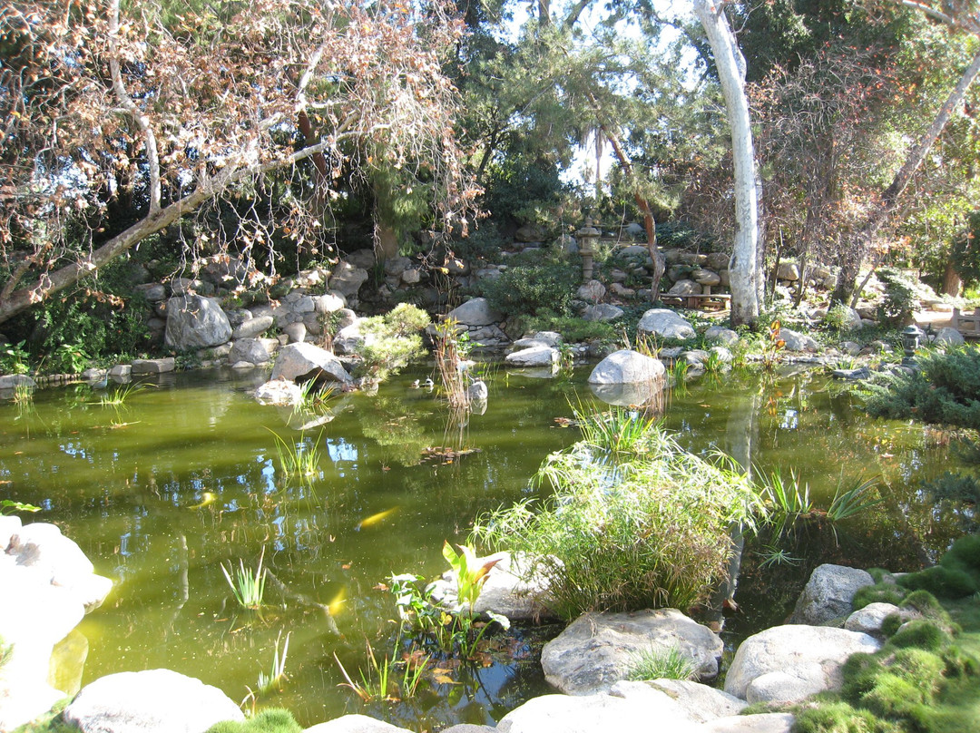 Storrier Stearns Japanese Garden景点图片