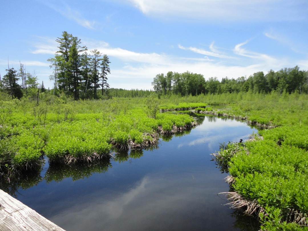 Bearskin State Trail景点图片