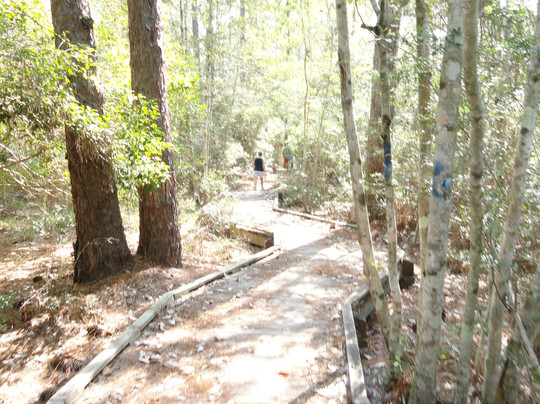 IMBALI Wellness Spa-Ellijay必去景点