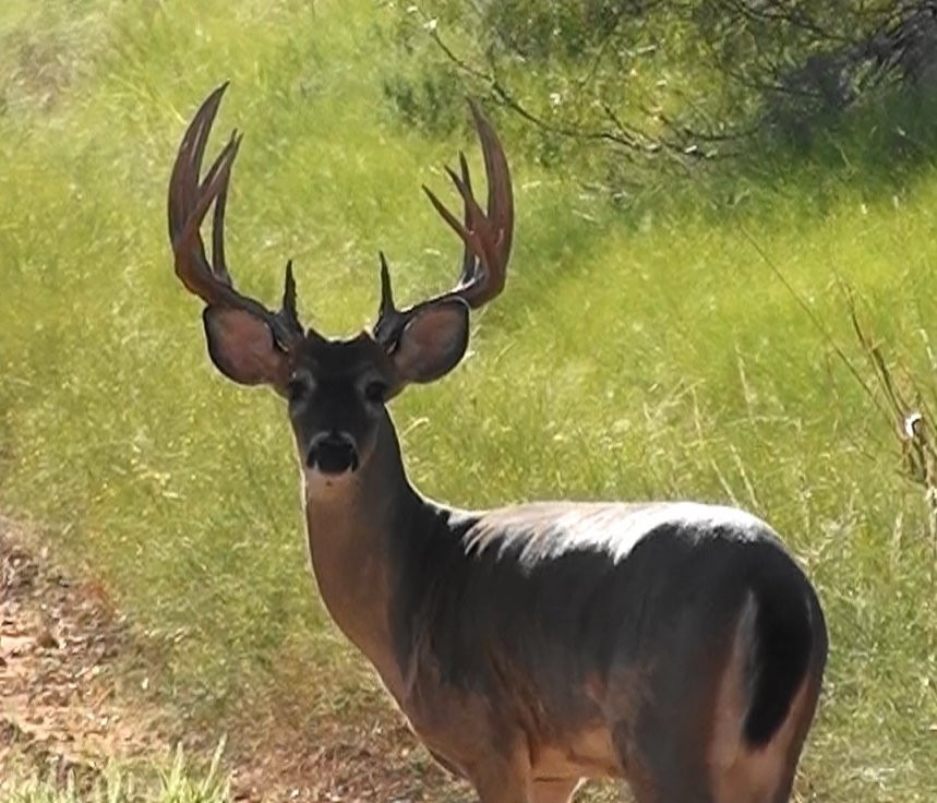 Greystone Castle-Mingus必去景点