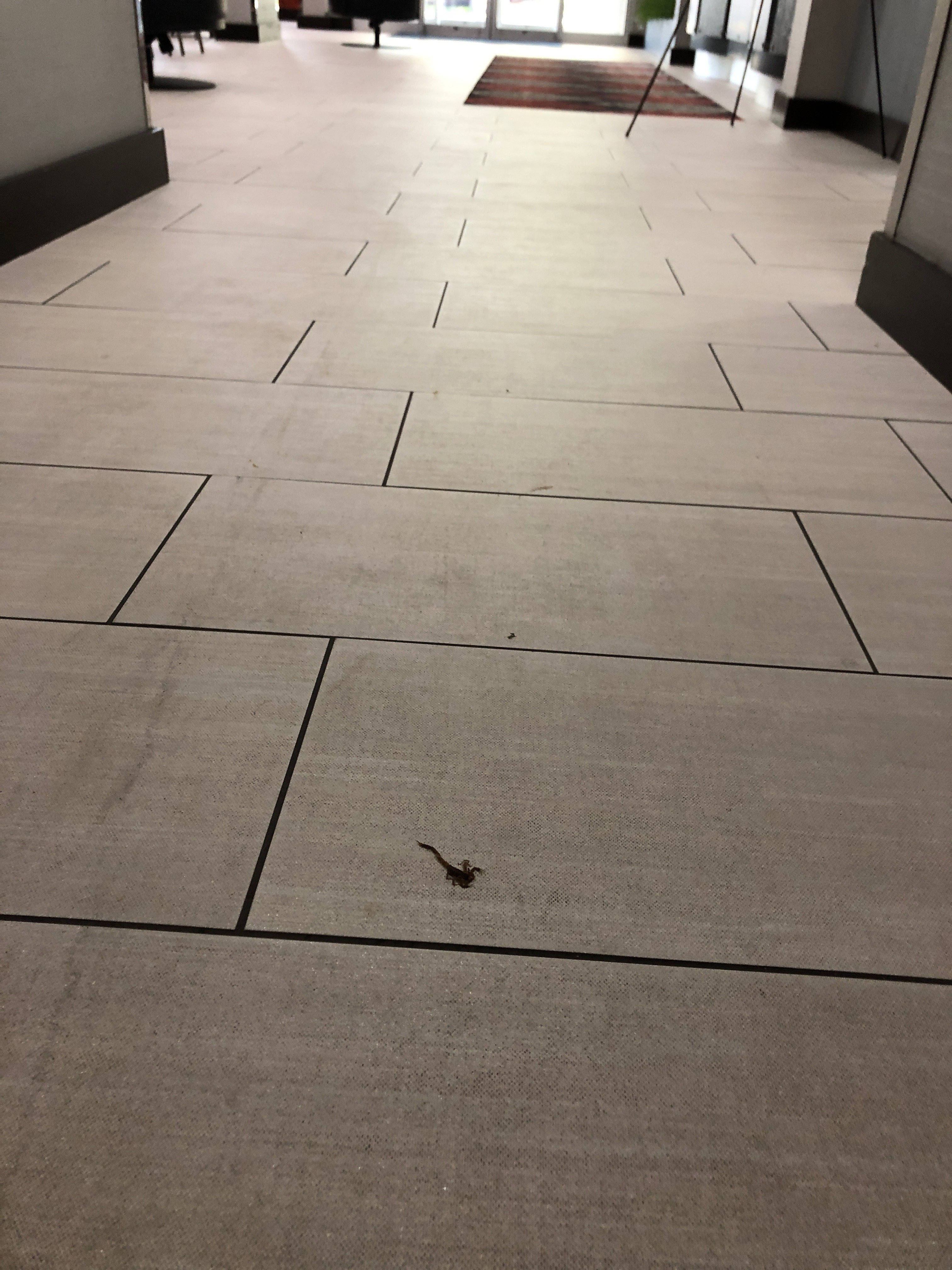 Holiday Inn Express & Suites Oklahoma City North By IHG-浴室