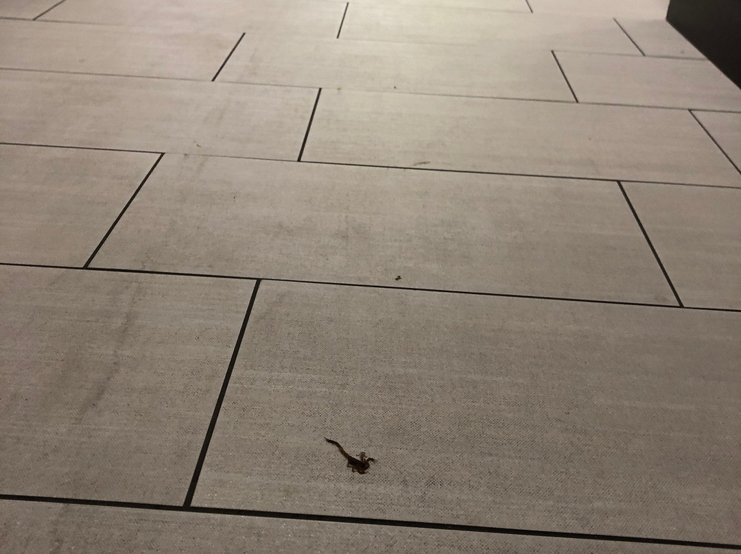 Holiday Inn Express & Suites Oklahoma City North By IHG主图