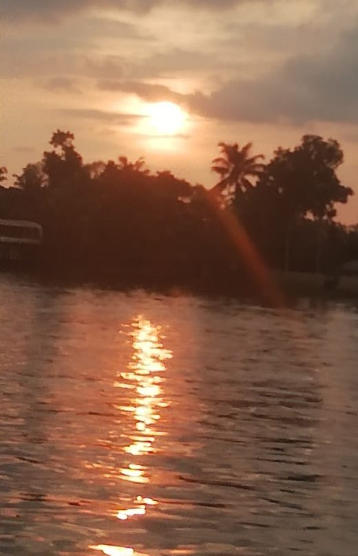 Alleppey Houseboats - Day Tours景点图片