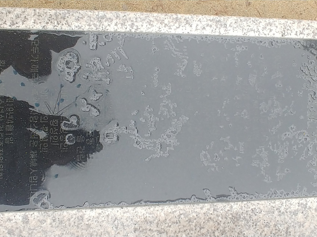 Statue of Peace-横城郡必去景点