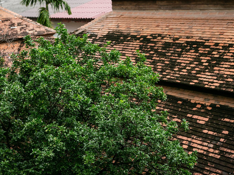 嘉盟精品楼酒店主图