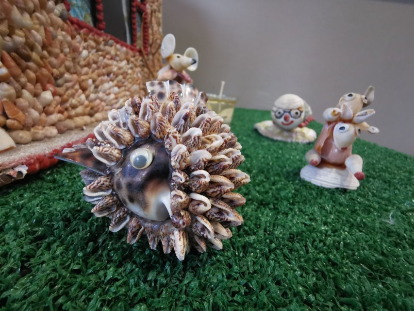 Jeffrey's Bay Shell Museum (Charlotte Kritzinger Shell Museum)-杰佛瑞湾必去景点