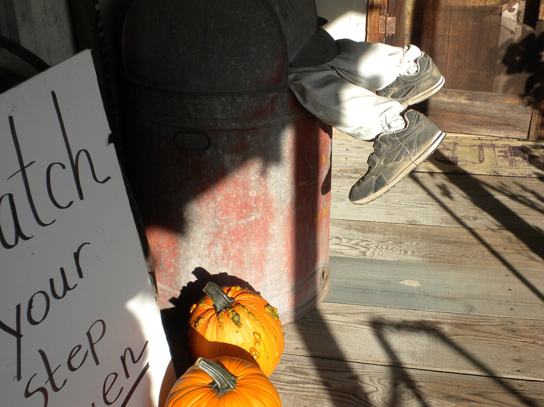 The Wood House-Eagle Point必去景点