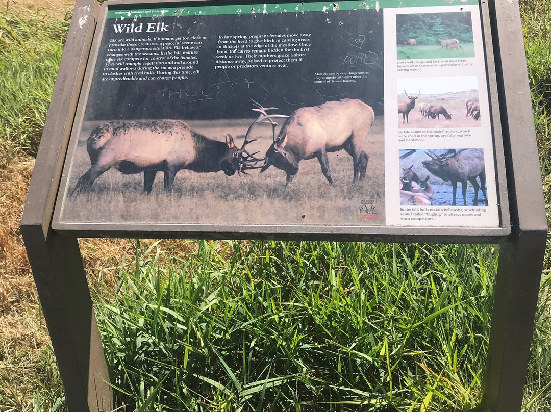 Elk Meadow Picnic Area景点图片