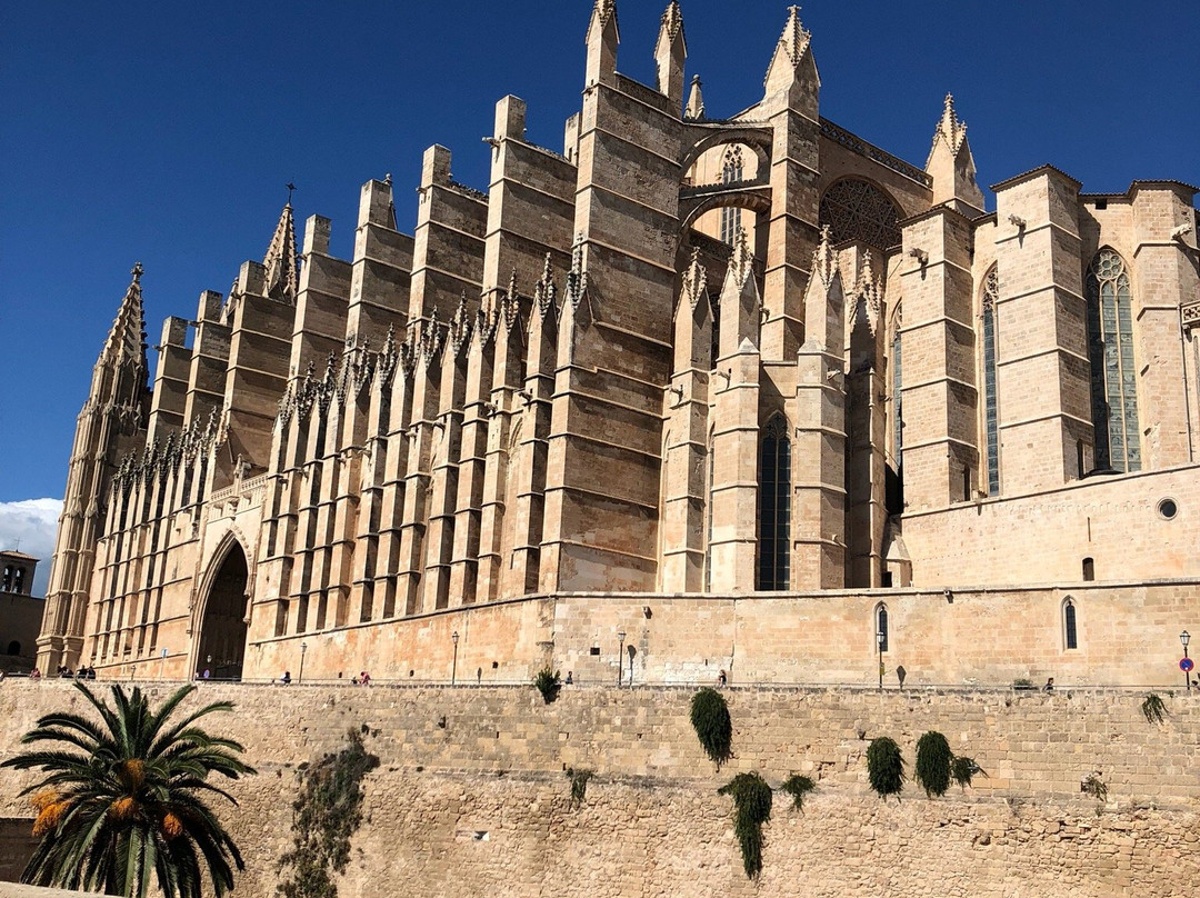 GreenTours Palma-马洛卡帕尔马必去景点