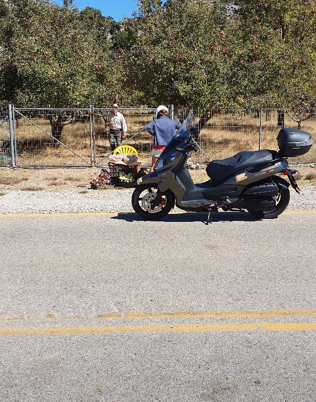Mortoglou Chania Rent a bike-干尼亚必去景点
