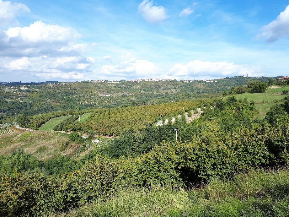 Azienda Agricola Ra Nissora景点图片