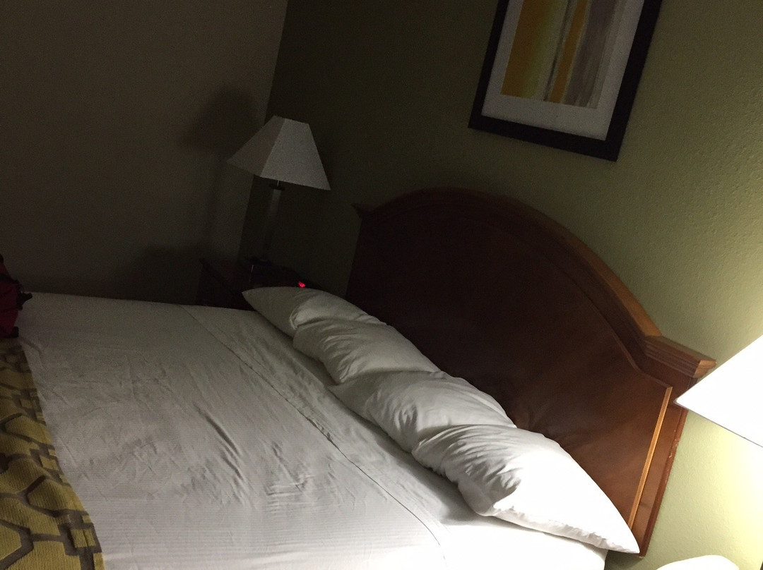 Baymont by Wyndham Midway主图