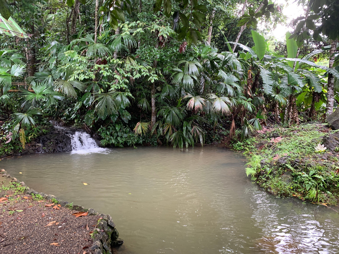 Ecolodge El Almejal主图