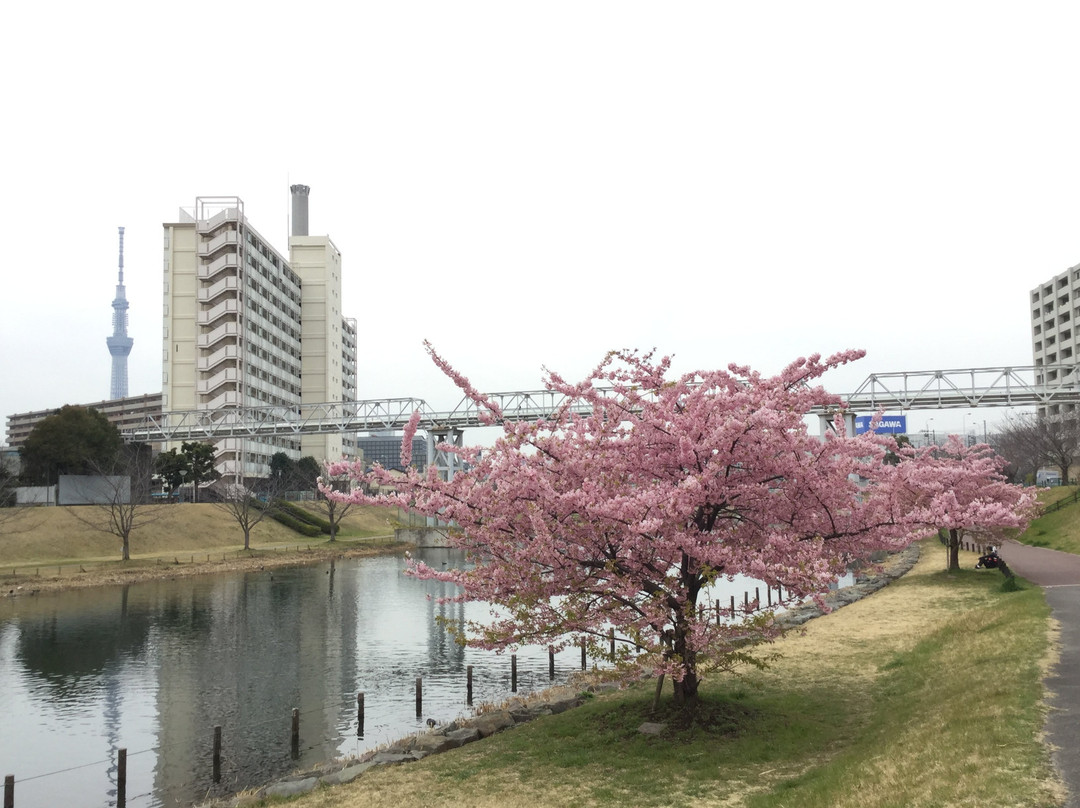 Kyunaka River-墨田区必去景点