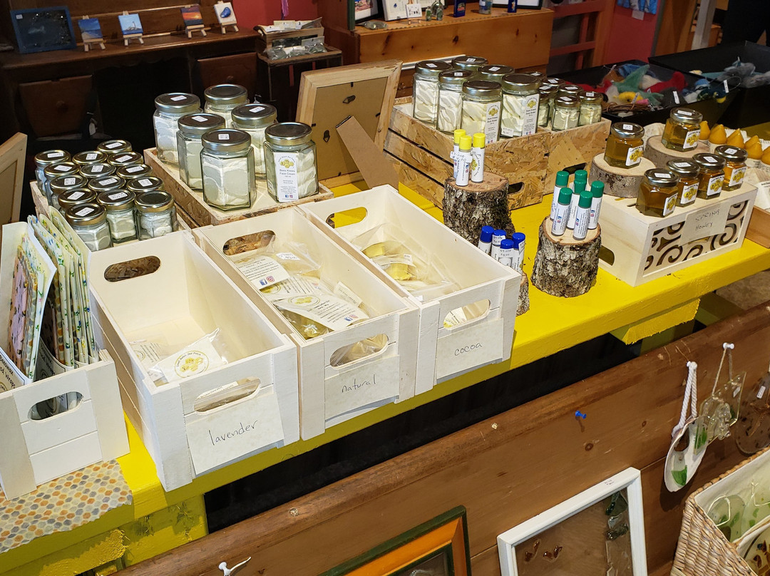 Tripp's Gallery and Tripp's Handmade-安纳波利斯罗亚尔必去景点