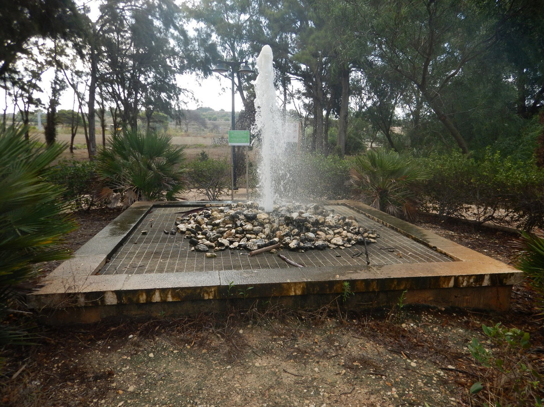 Salina Nature Reserve-Naxxar必去景点