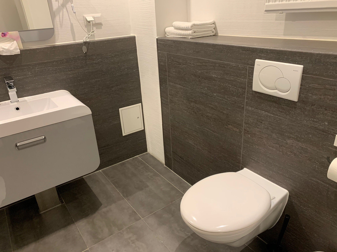 Youngstar Hotel Mannheim主图