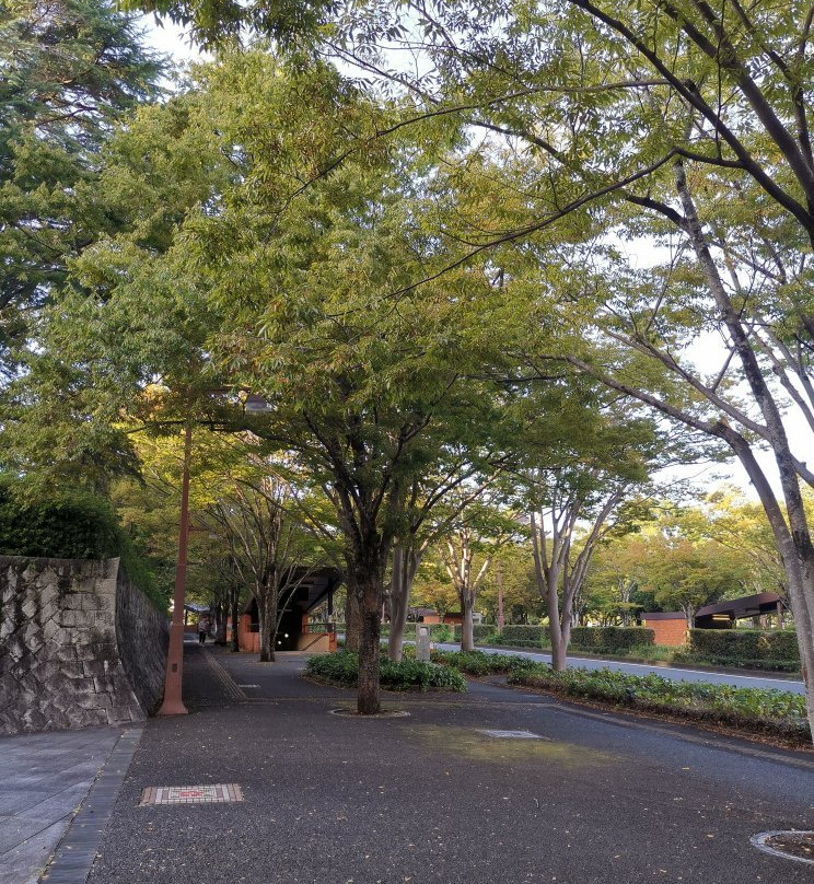 The Yamaguchi Prefectural Museum of Art-山口市必去景点