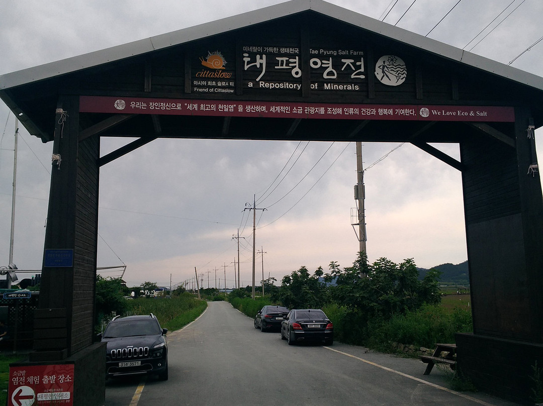 Taepyeong Salt Field-新安郡必去景点