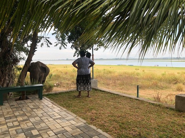 湖泊公园酒店主图