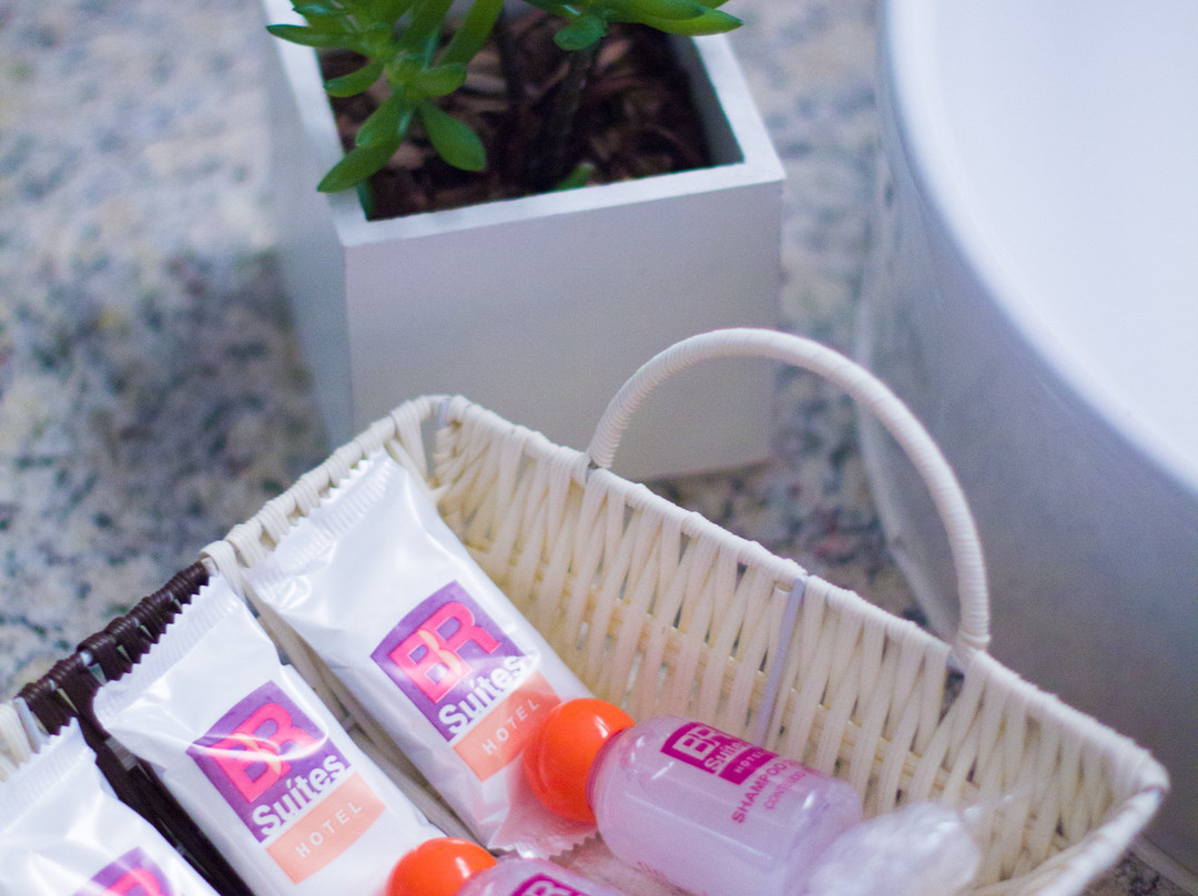 BR Suítes Hotel主图