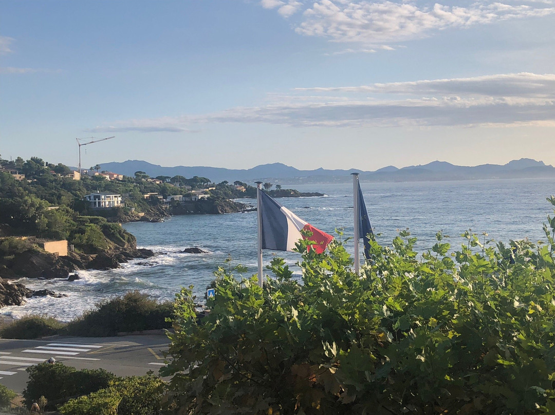 Hotel La Caravelle主图