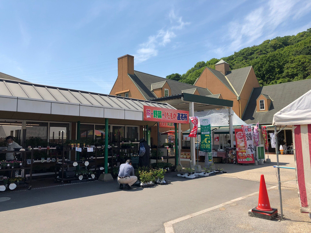 Miyama Park Roadside Station景点图片