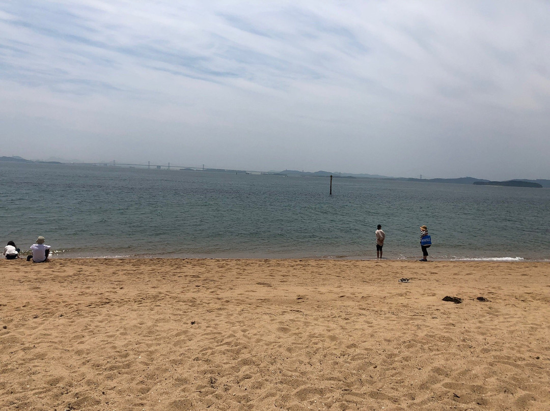 Shibukawa Coast景点图片