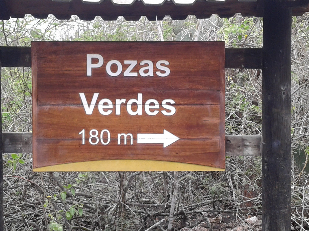 Pozas verde-维里亚米尔港必去景点