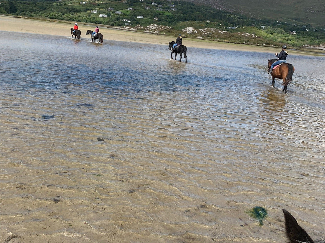 Eagle Rock Equestrian Centre景点图片