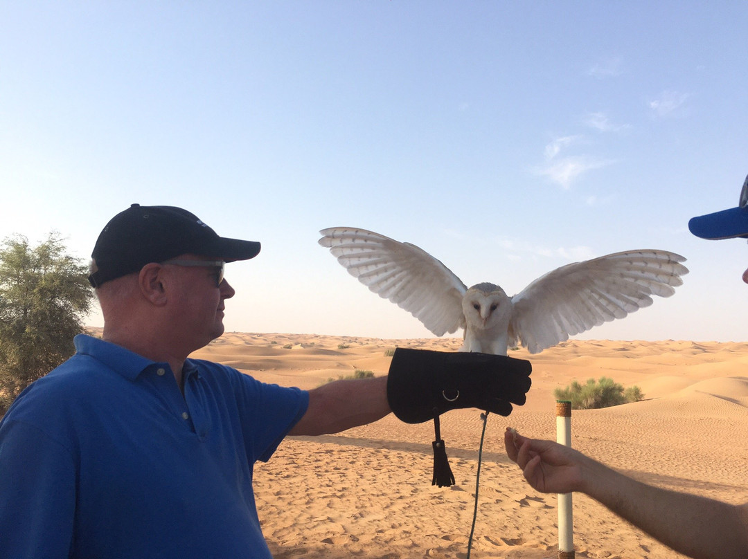 Royal Shaheen Events-迪拜必去景点