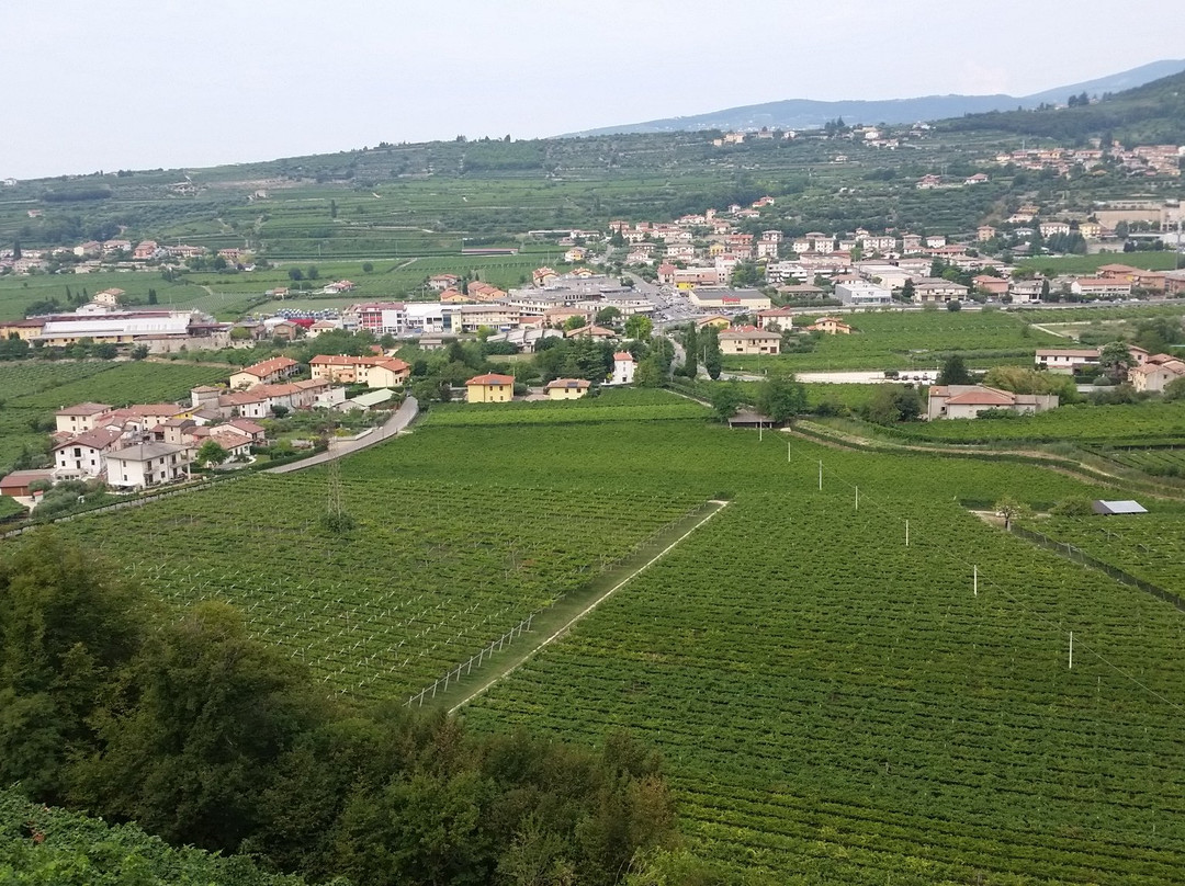 Azienda Agricola Giuseppe Quintarelli景点图片