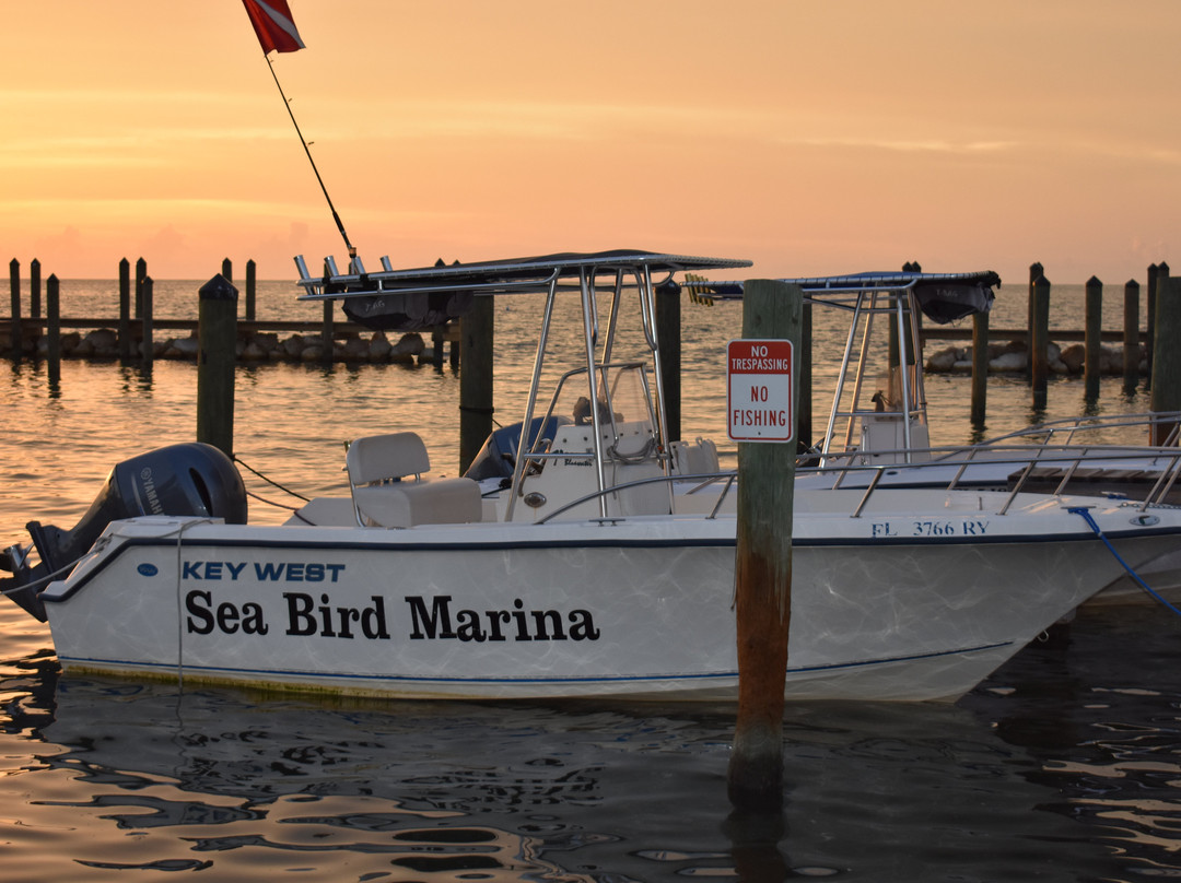 Sea Bird Marina-Long Key必去景点