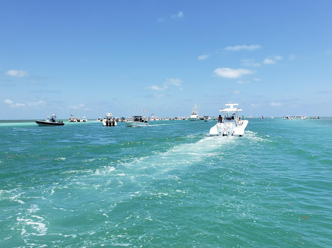 Elite Boat Rentals @ IslaMarina-伊斯拉摩拉达必去景点