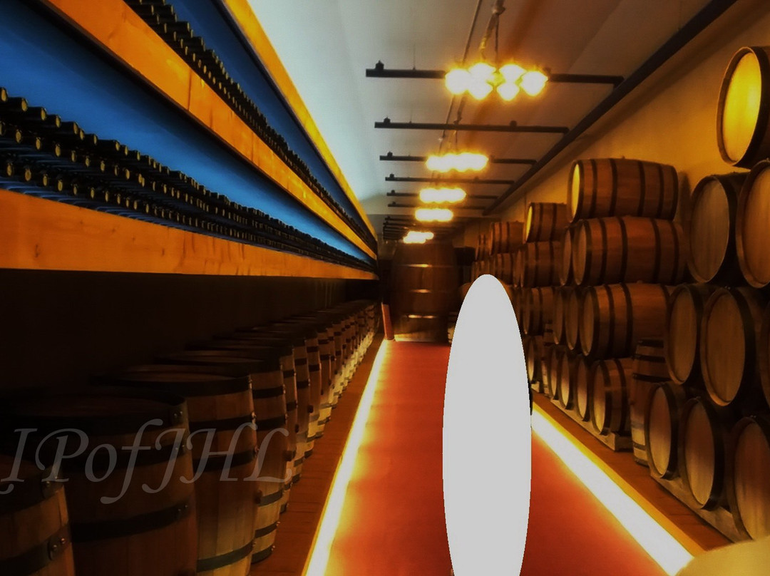 Wine Tunnel-永同郡必去景点