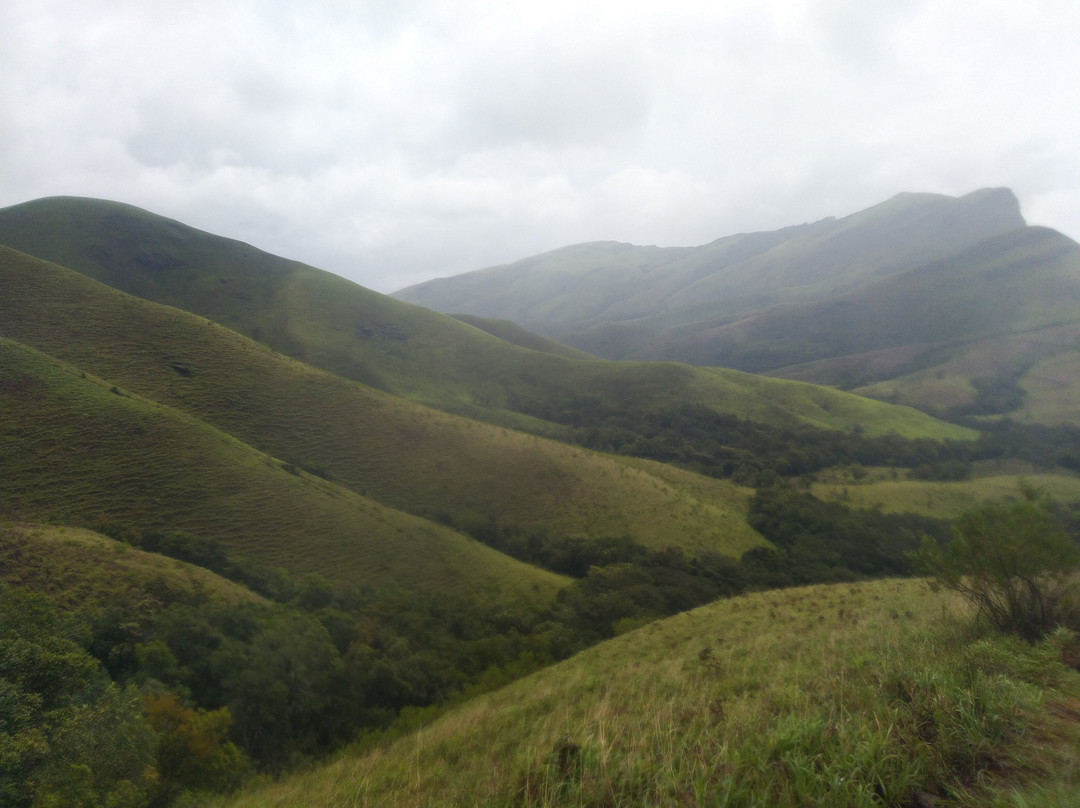 Kudremukh National Park景点图片